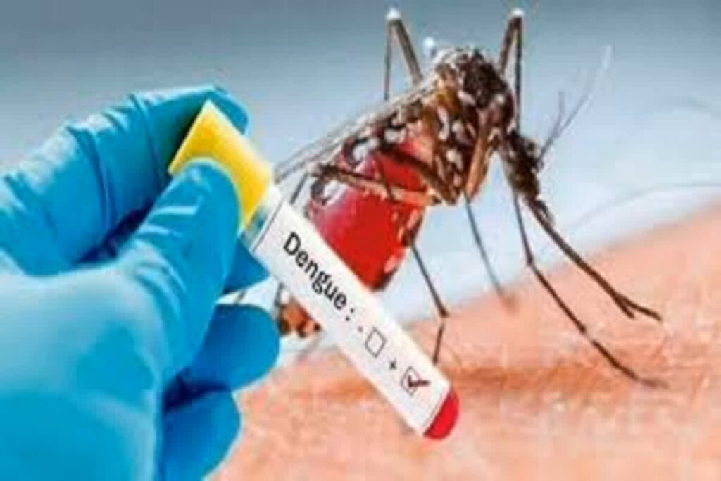 Dengue Blast in Madhya Pradesh