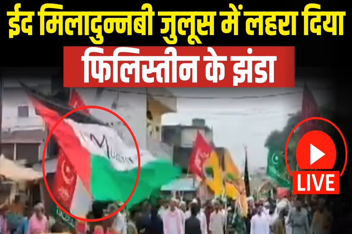 Eid-Miladunnabi Juloos Video: यहां ईद-मिलादुन्नबी पर गरमाया माहौल.. इन जगहों पर लहराए गए फिलिस्तीन के झंडे, पोस्टर लेकर घूमते दिखे लोग