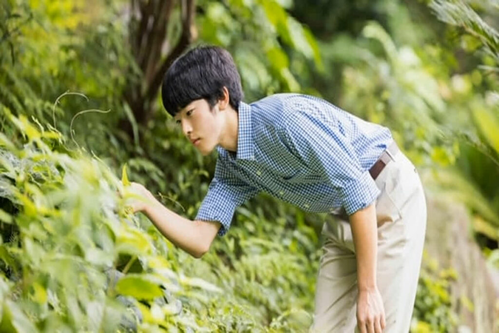 Japan Prince Hisahito