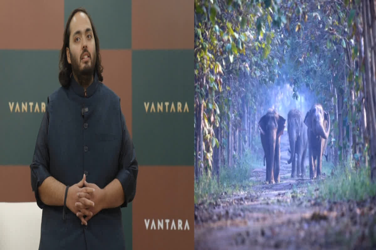 Vantara Appeals to Namibia Government: जानवरों के सरंक्षण को तैयार है ‘वनतारा’, कहा – ‘रोका जाए नमीबिया में जानवरों का वध..’