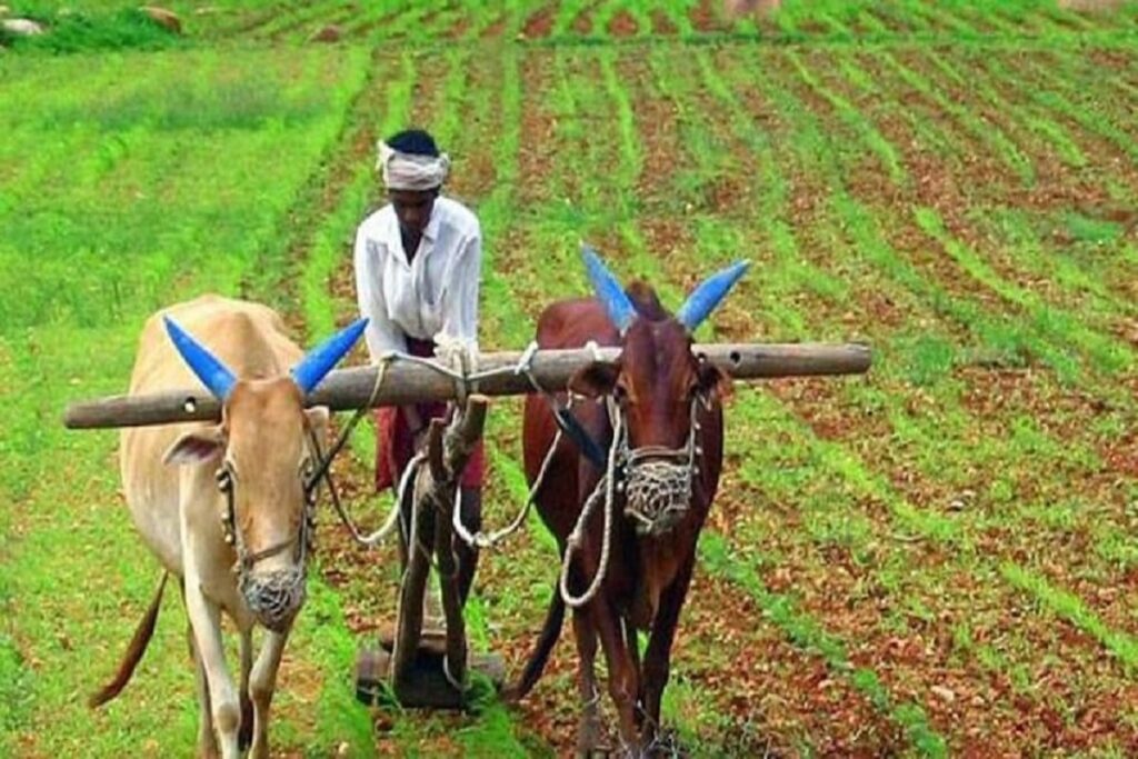 Farmer ID Card