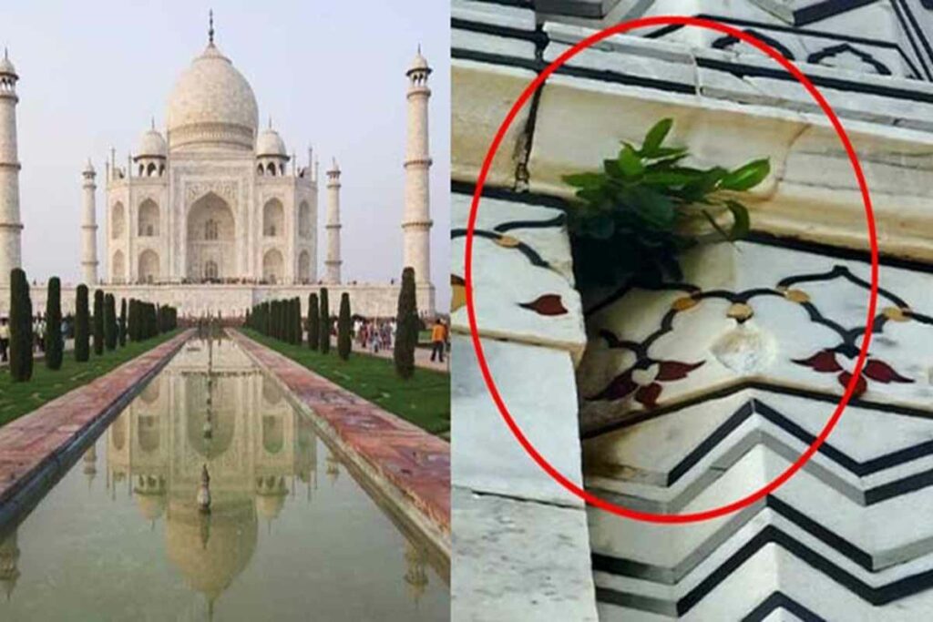 Yogi government is not taking care of Taj Mahal | Taj Mahal Latest HD Images & Videos