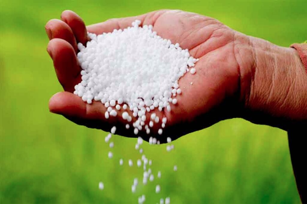 Black marketing of urea fertilizer