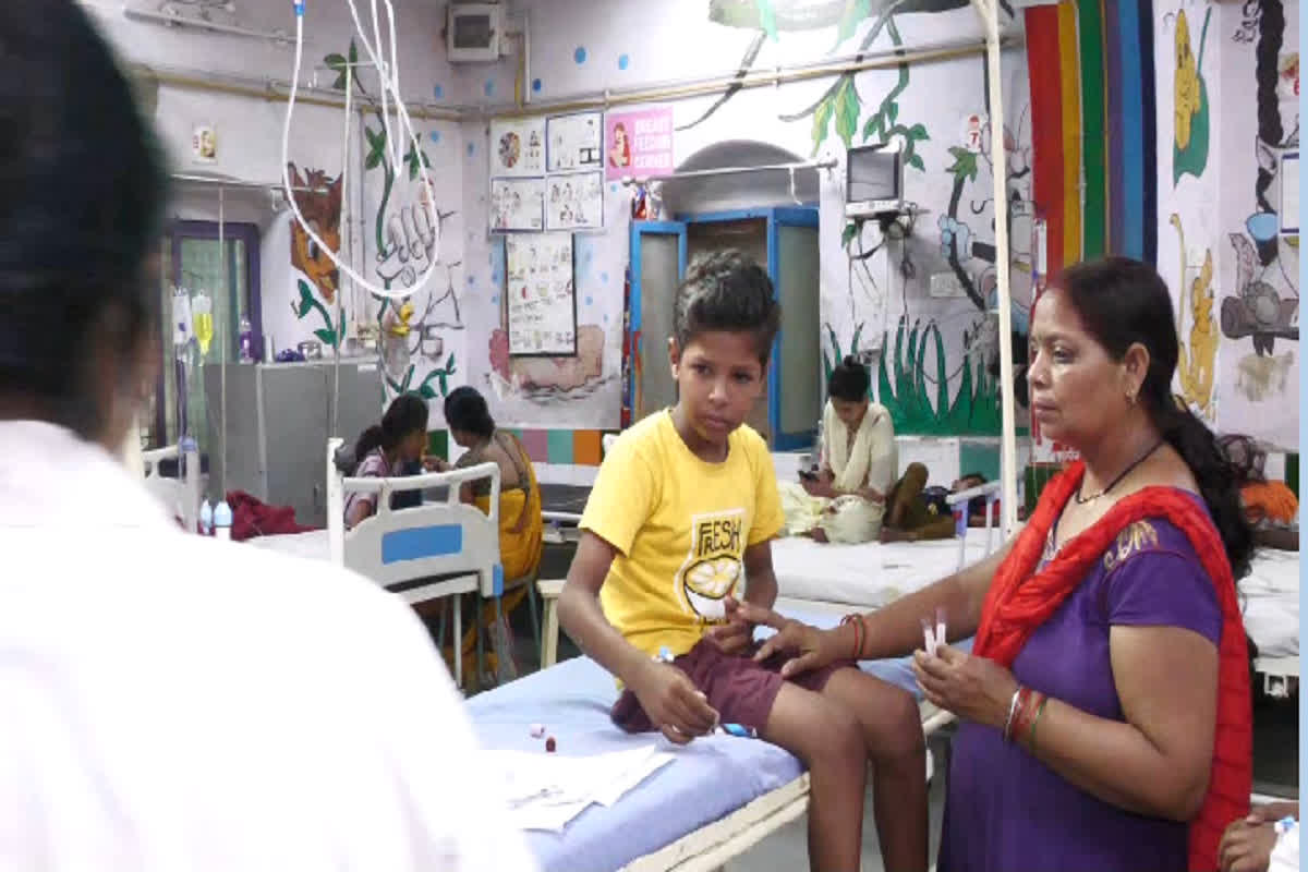 Japani Bukhar In Jabalpur: एक बार फिर जापानी बुखार ने दी दस्तक, जिले में पॉजिटिव मिले 2 मरीज, स्वास्थय विभाग ने जारी किया अलर्ट