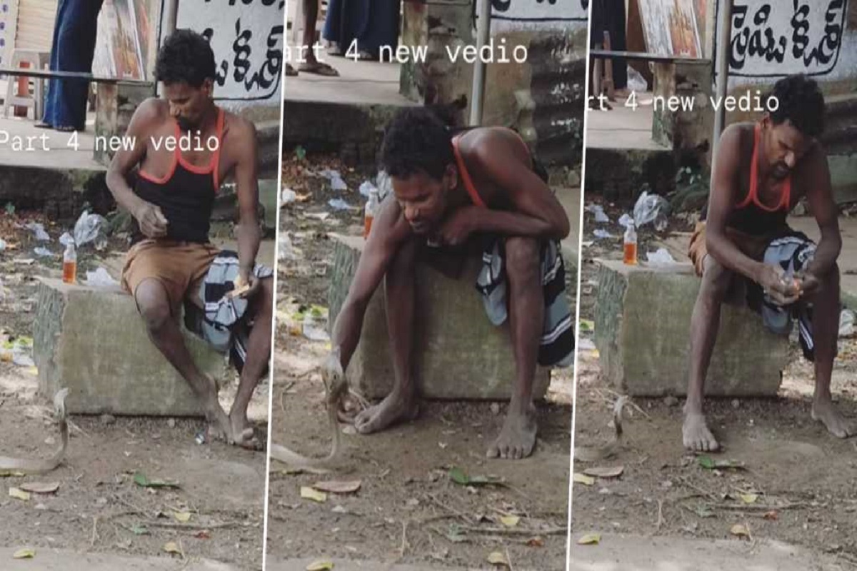 Viral Video: शराबी के पास फन फैलाकर बैठा किंग कोबरा, नशे में शख्स ने कर दिया ऐसा काम, वीडियो देख पकड़ लेंगे माथा