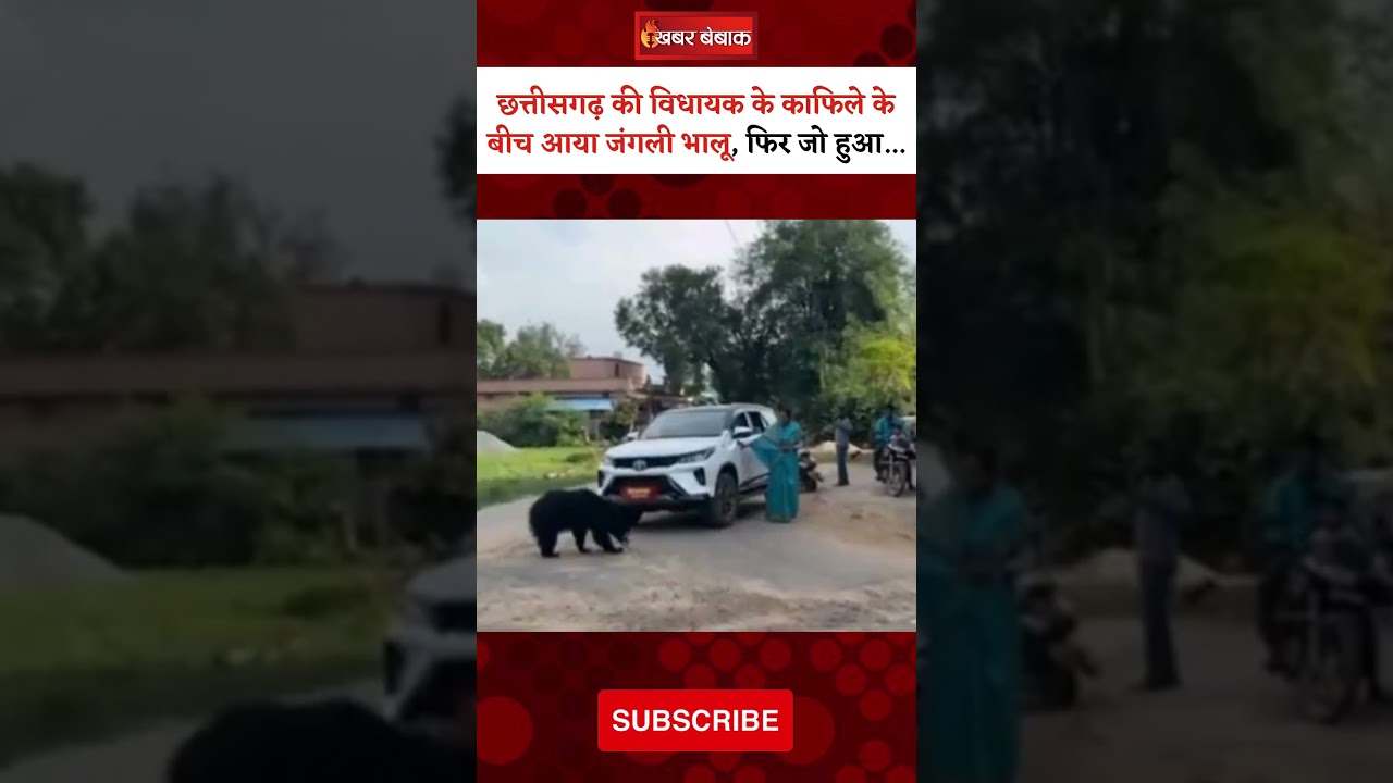 Chhattisgarh की विधायक Savitri Mandavi के काफिले के बीच आया जंगली भालू, फिर जाे हुआ… | #viralvideo