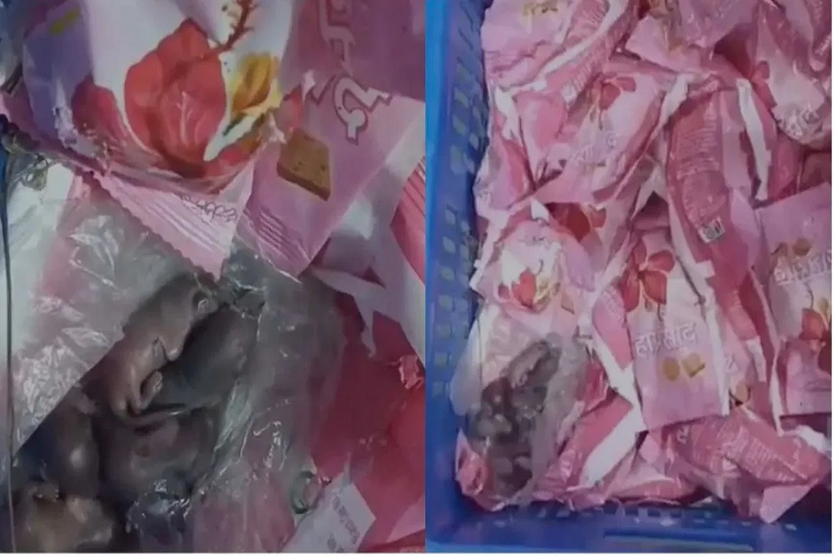 Prasad Controversy: तिरुपति बालाजी के बाद अब इस प्रसिद्ध मंदिर के प्रसाद में बवाल, लड्डू के पैकेट में मिले चूहे के बच्चे!