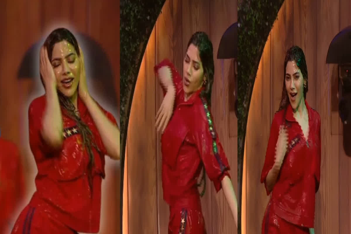 Nikki Tamboli Hot Dance Video: ‘टिप टिप बरसा पानी’ पर मराठी मुलगी ने लगाई आग, आंखें फाड़कर देखते रहे फैंस