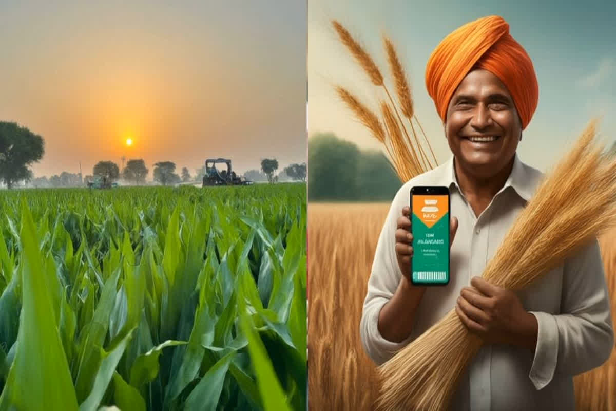 PM Kisan 19th Installment Latest Update | Photo Credit : AI