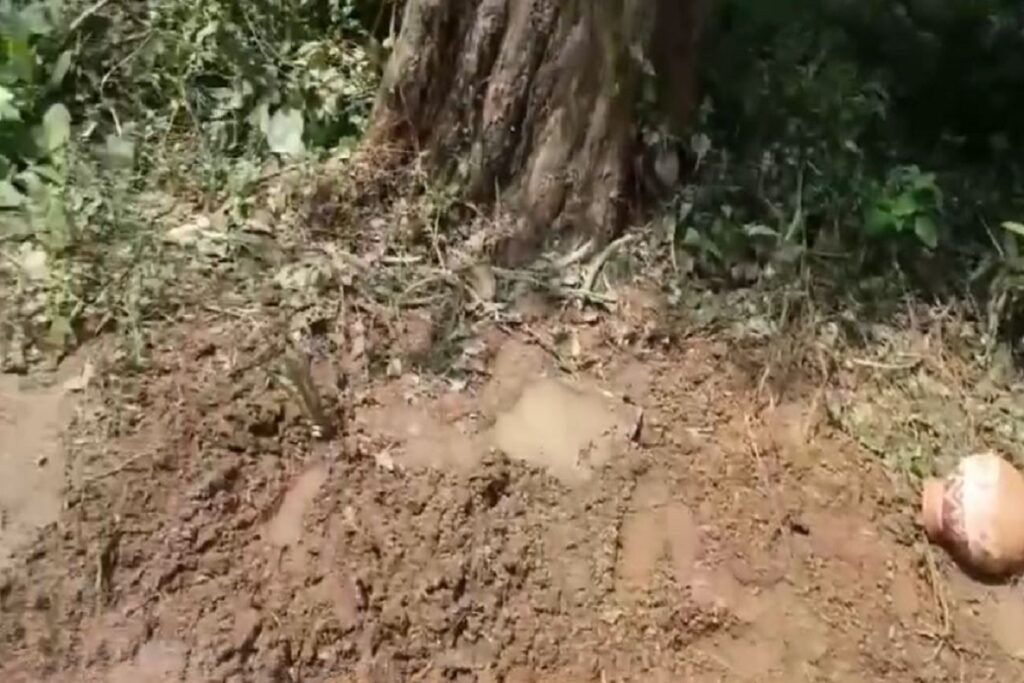 Dead body taken out of grave