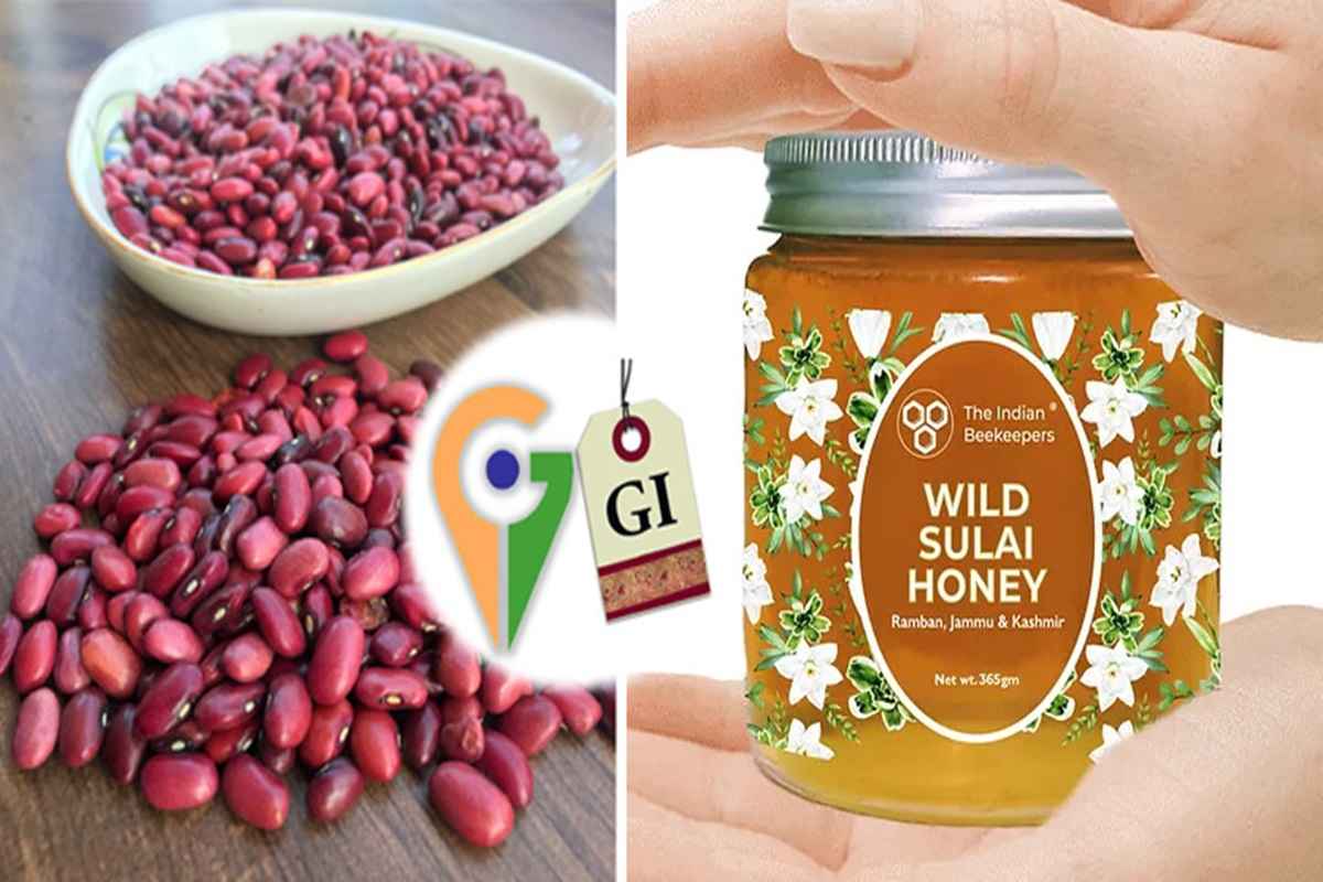 Jammu Kashmir GI Products: दुनियाभर में बिखर रही किस्तवाड़ के केसर की महक.. लैवेंडर की खेती खींच रही दुनिया का ध्यान.. जानें जम्मू के लिए GI Tag के क्या है मायने?..