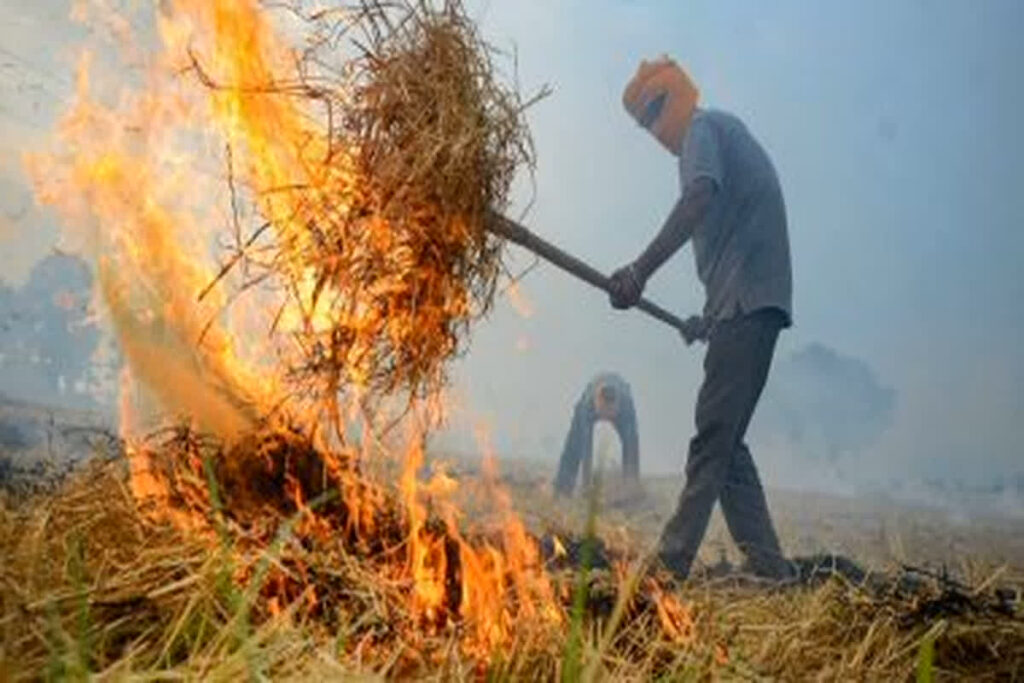 Action On Parali Fire