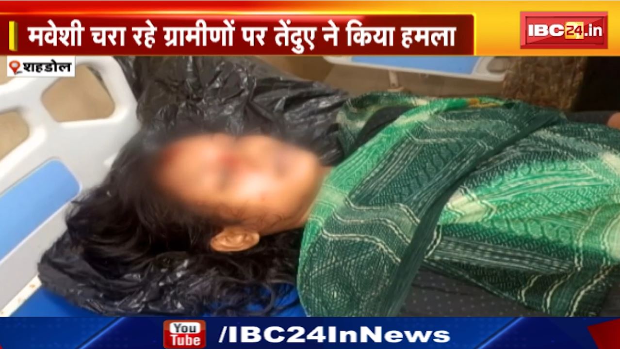 Leopard Attack in Shahdol : तेंदुए के हमले में 8 घायल, 2 की हालत गंभीर | गांवों में मुनादी