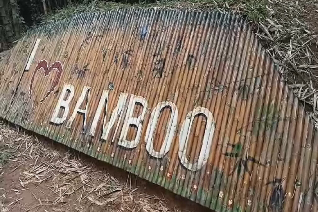 Bamboo Industry in Tripura