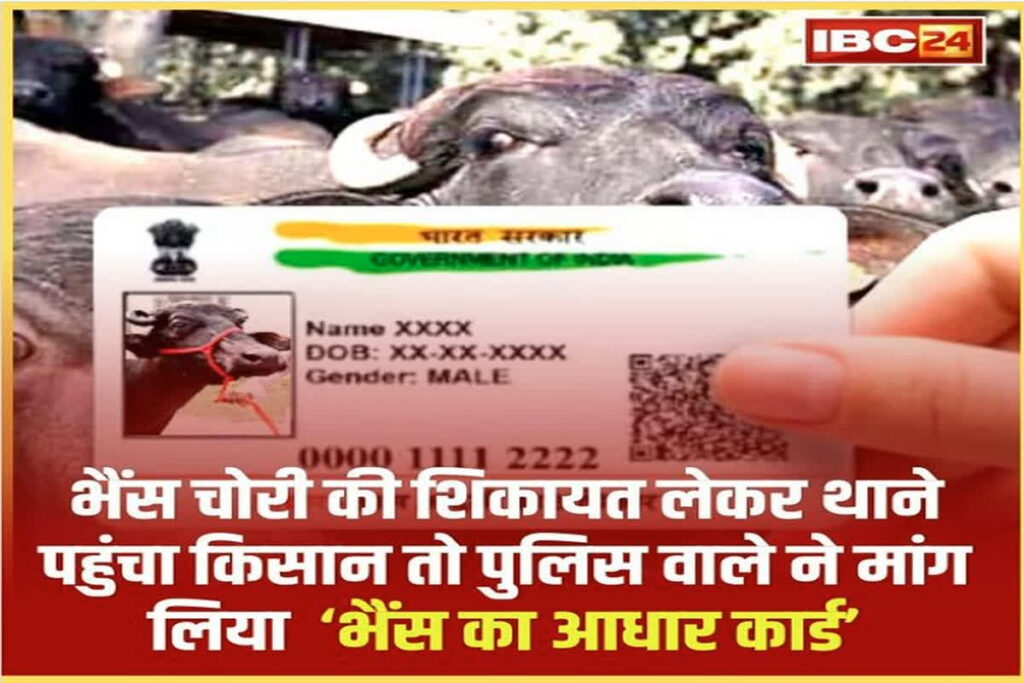 Bhains Ka Aadhar Card