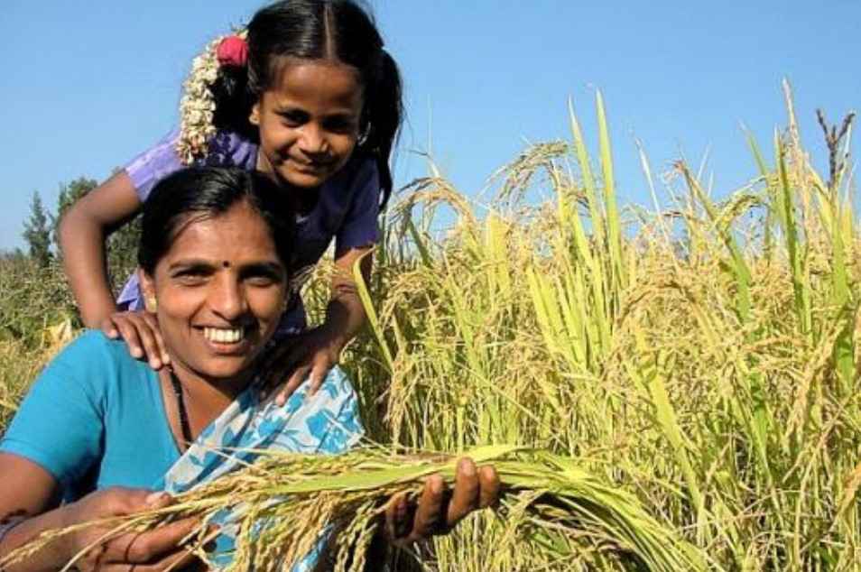 UP govt approves 'UP Agris Scheme' to increase farmers' income