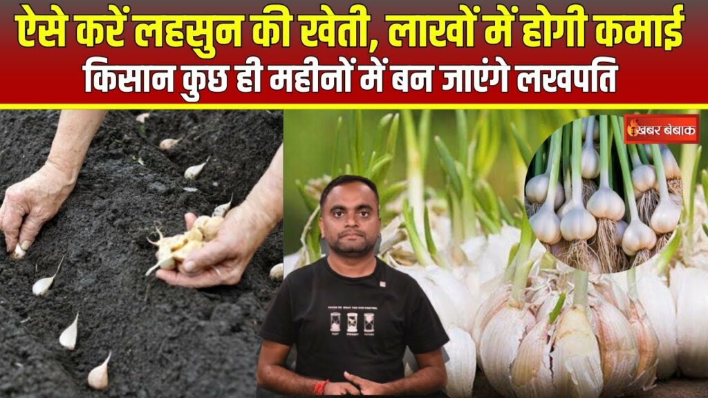 Garlic Farming