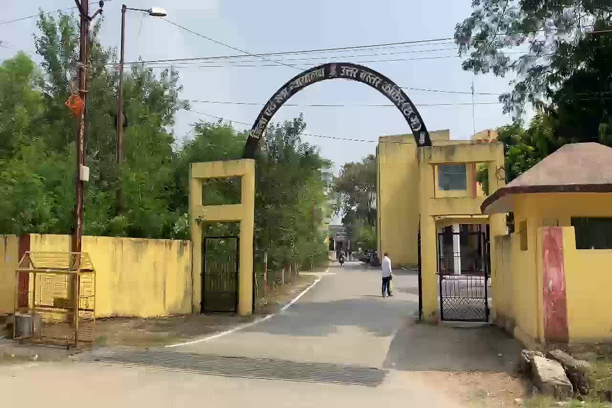 Watch Video: न्याय की गुहार लगाने न्यायालय पहुंचा भालू! दो दिनों से परिसर में डाल रखा है डेरा, हमले में सुरक्षाकर्मी घायल