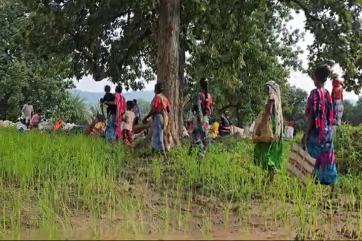 Niyad Nellanar Scheme: सरकार की नियद नेल्लानार योजना से खत्म होगा नक्सलवाद? कैसे संवर रही गांवों की तस्वीर देखें