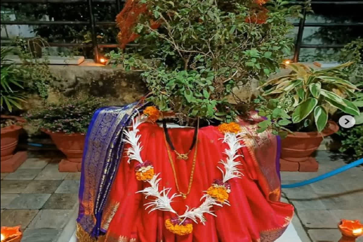 Tulsi Puja Wishes 2024: ‘गन्ने के मंडप सजायेंगे हम, विष्णु- तुलसी का विवाह रचाएंगे हम’ तुलसी विवाह के अवसर पर अपनों को भेजें ये शुभकामनाएं संदेश