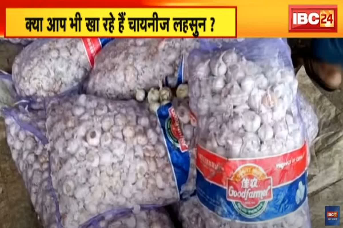 Chinese Garlic Vs Indian Garlic Difference: कहीं आप भी तो नहीं खा रहे चायनीज लहसुन? हो सकते हैं जानलेवा बीमारियों के शिकार, जानिए कैसे करें पहचान