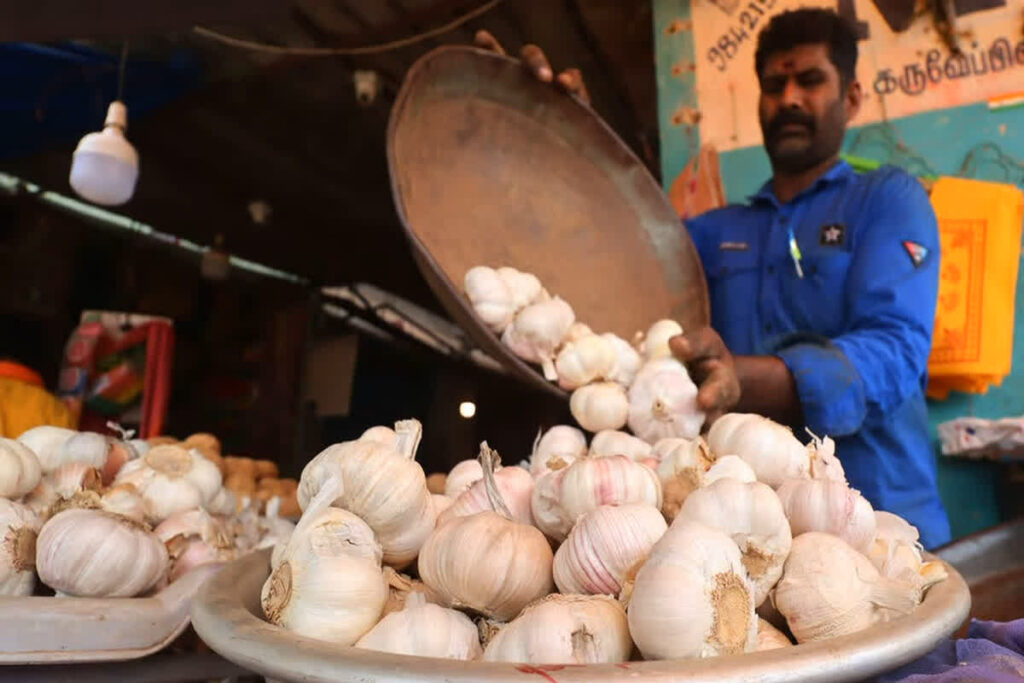 Garlic crosses Rs 400 per kg