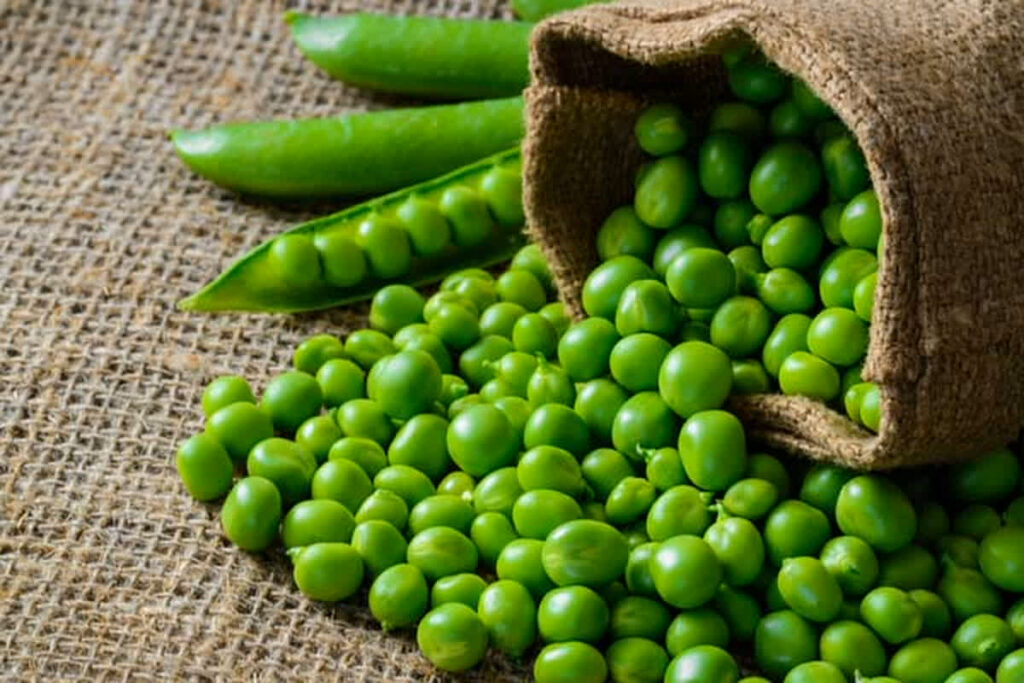 Peas Price in Raipur