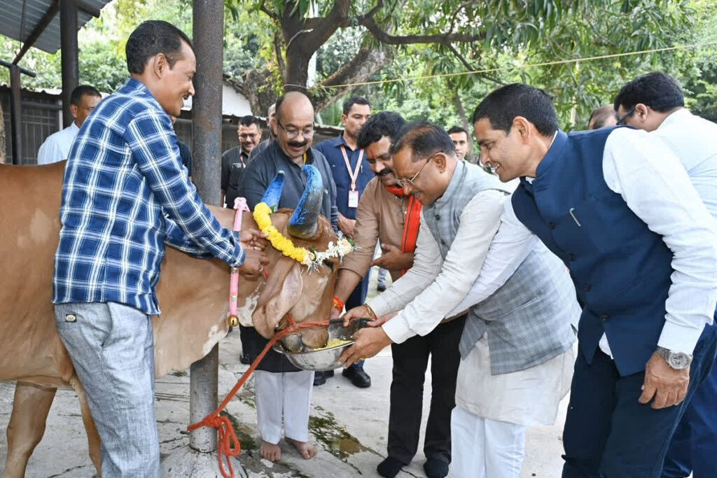 CM Sai On Govardhan Puja: