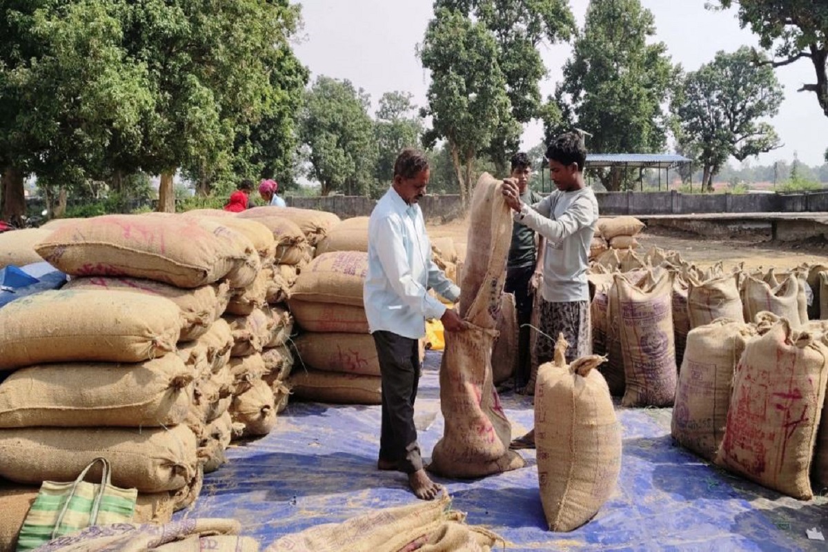 छत्तीसगढ़ में मुख्यमंत्री के मार्गदर्शन में सुगमता से हो रही धान खरीदी, अब तक 13.48 लाख मीट्रिक टन खरीदा गया धान, 2.89 लाख किसानों को 2649.11 करोड़ का भुगतान