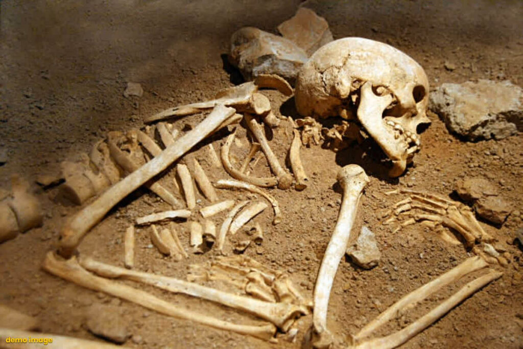 Human Skeleton found in a closed madrasa