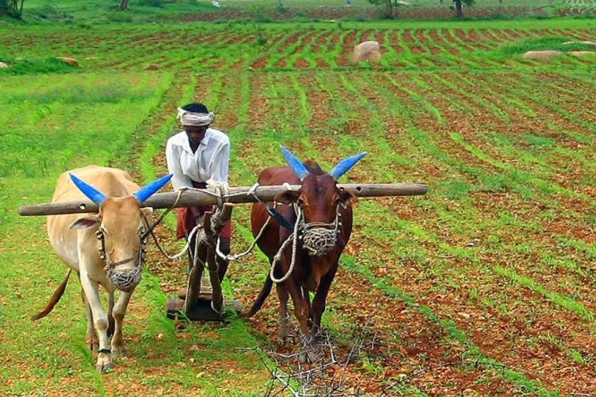 Farmer Loan Waiver Announcement Update