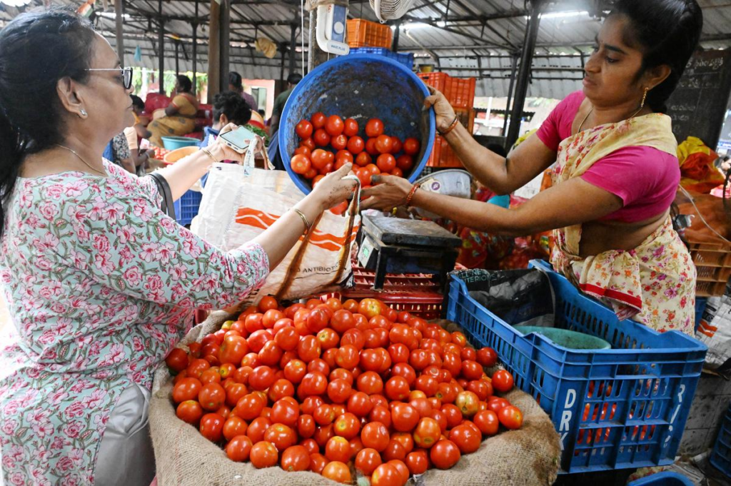 Tomato prices became cheaper in big cities of India