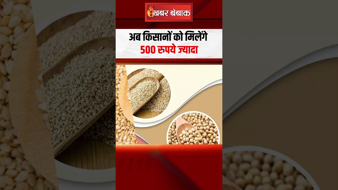 अब मिलेंगे 500 रुपये ज्यादा | छत्तीसगढ़ में धान खरीदी के बीच किसानों के लिए CM Sai ने किया बड़ा ऐलान