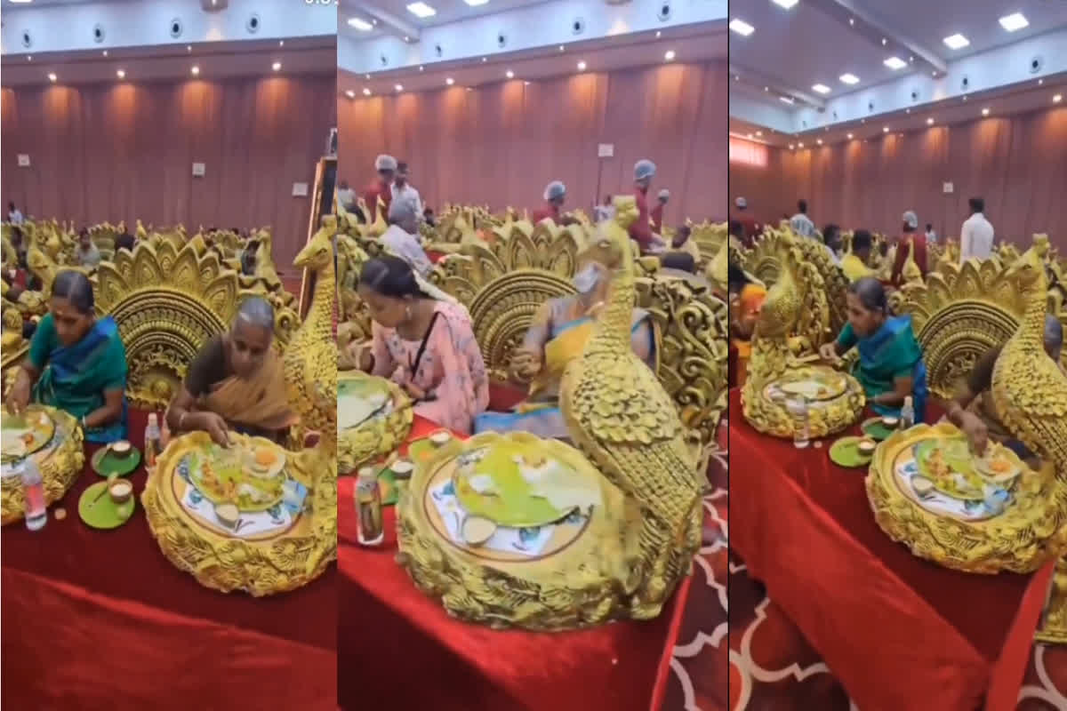 #Trending Viral Video: शादी का ऐसा इंतजाम… अंबानी भी रह गए पीछे! मेहमानों को सोने की थाली में परोसा गया खाना, वीडियो देख चकराया लोगों का माथा