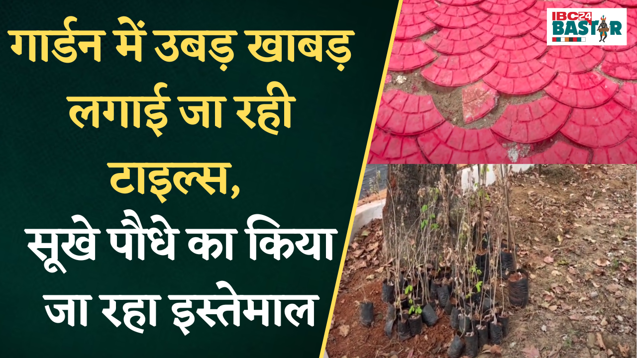 Dantewada: हर्बल गार्डन निर्माण में उबड़ खाबड़ लगाई जा रही टाइल्स, सूखे पौधे भी रोपने के लिए लाए |