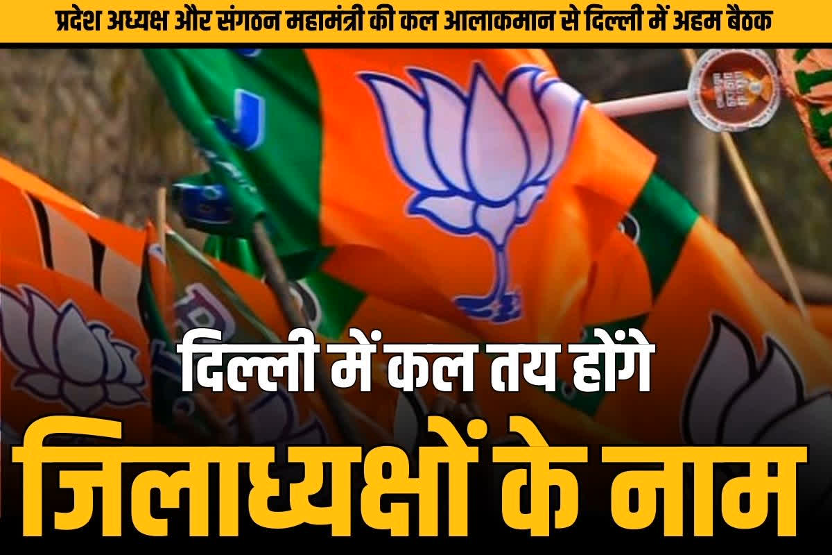 CG BJP New Jila Adhyakha Name: कल तय हो जायेंगे BJP के नए जिलाध्यक्षों के नाम!.. किरण सिंहदेव और पवन साय जायेंगे दिल्ली, होगी अहम बैठक