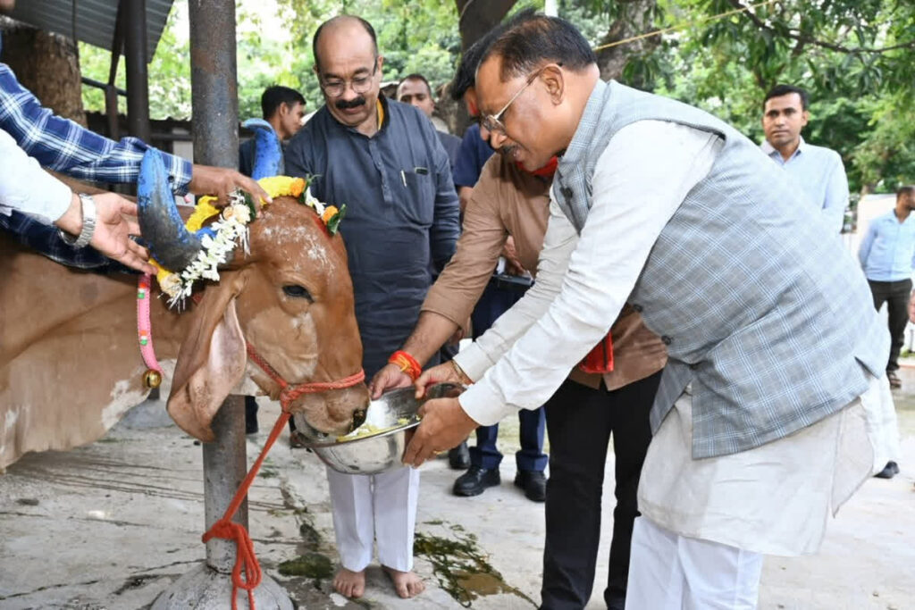 Cow shelters subsidy Increased by chhattisgarh government