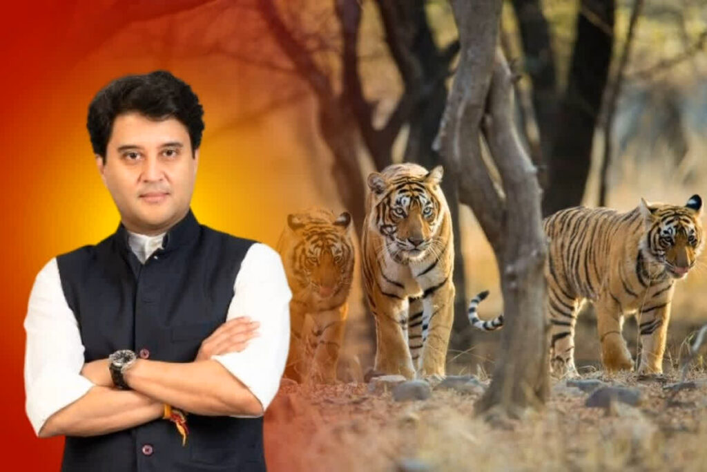 Madhav National Park | Status of Tiger Reserve | Jyotiraditya scindia