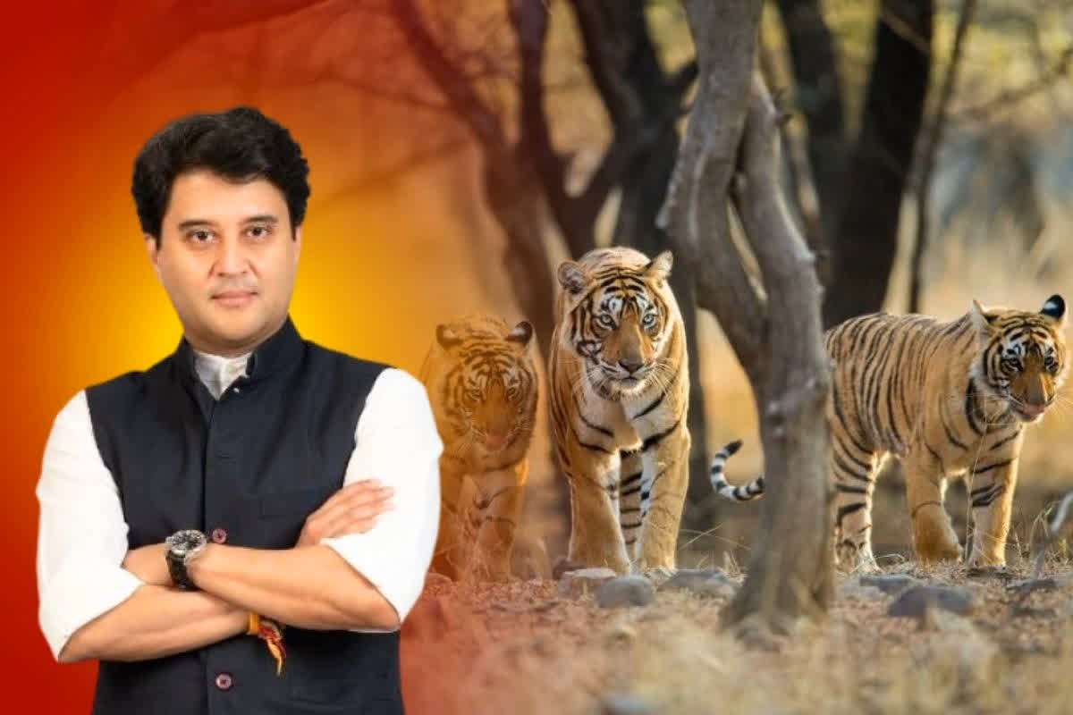 Madhav National Park | Status of Tiger Reserve | Jyotiraditya scindia