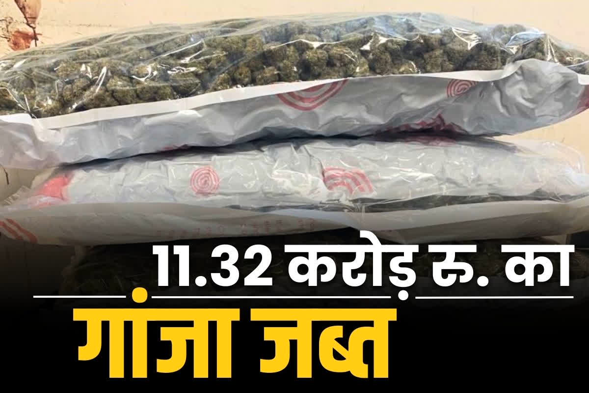 Customs seizes marijuana: एक-दो नहीं बल्कि 11 करोड़ रुपये से ज्यादा कीमत का गांजा जब्त.. खुफिया सूचना के बाद ली गई थी आरोपी की तलाशी, पढ़े पूरा मामला