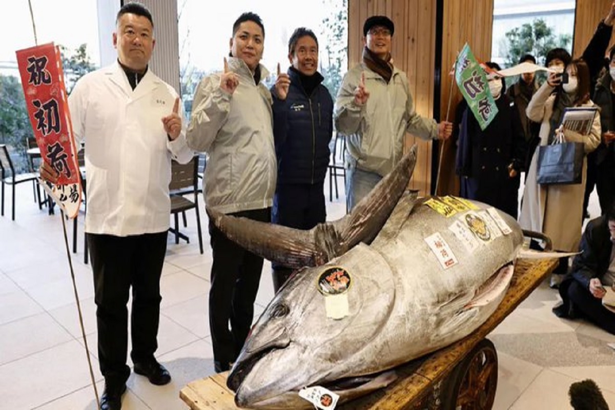 Bluefin Tuna Fish: ये है दुनिया की दूसरी सबसे महंगी मछली, शख्स ने खरीदने के लिए दे दिए 11 करोड़ रुपए, खासियत जानकर हो जाएंगे हैरान