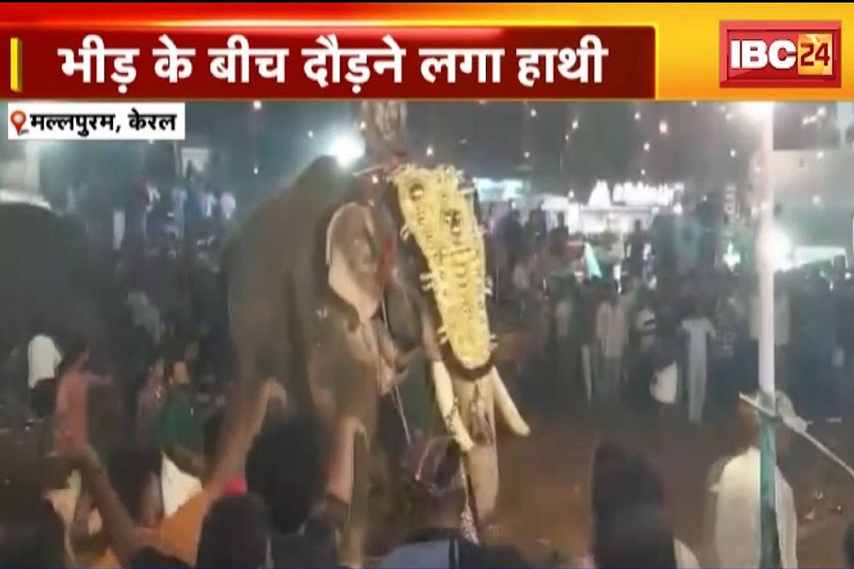 Kerala Elephant Video: उत्सव के दौरान गजराज को आया गुस्सा, कई लोगों को सूंड़ में नचाकर फेंका, देखें सन्न कर देने वाला VIDEO