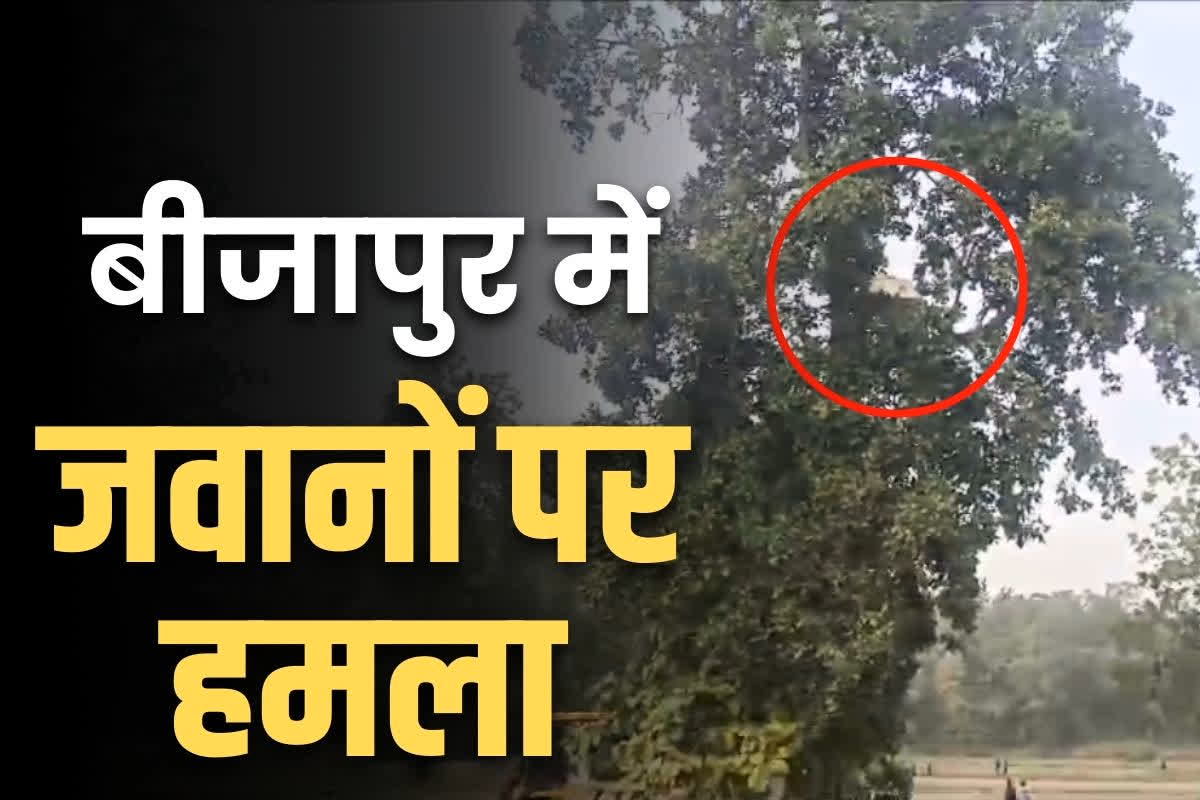 Bijapur Naxalites Blast Live Video: ब्लास्ट के बाद पेड़ पर जा अटका स्कॉर्पियों का हिस्सा.. अब तक 8 जवान शहीद, ड्राइवर की भी मौत..