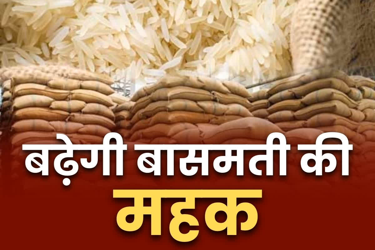 Mandi fee zero in Chhattisgarh: 160 देशों को बासमती चावल एक्सपोर्ट करता है छत्तीसगढ़.. भारत के कुल निर्यात का 15 फ़ीसदी सिर्फ इसी प्रदेश से, अब लिया गया बड़ा फैसला..