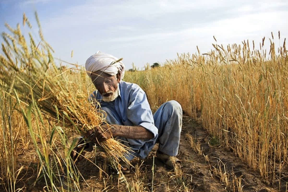 Help to farmers of the state: बारिश से बर्बाद किसानों को सरकार की मदद.. सीएम ने दी 291.59 करोड़ रुपये की मंजूरी, 1.26 लाख किसान आपदा से प्रभावित