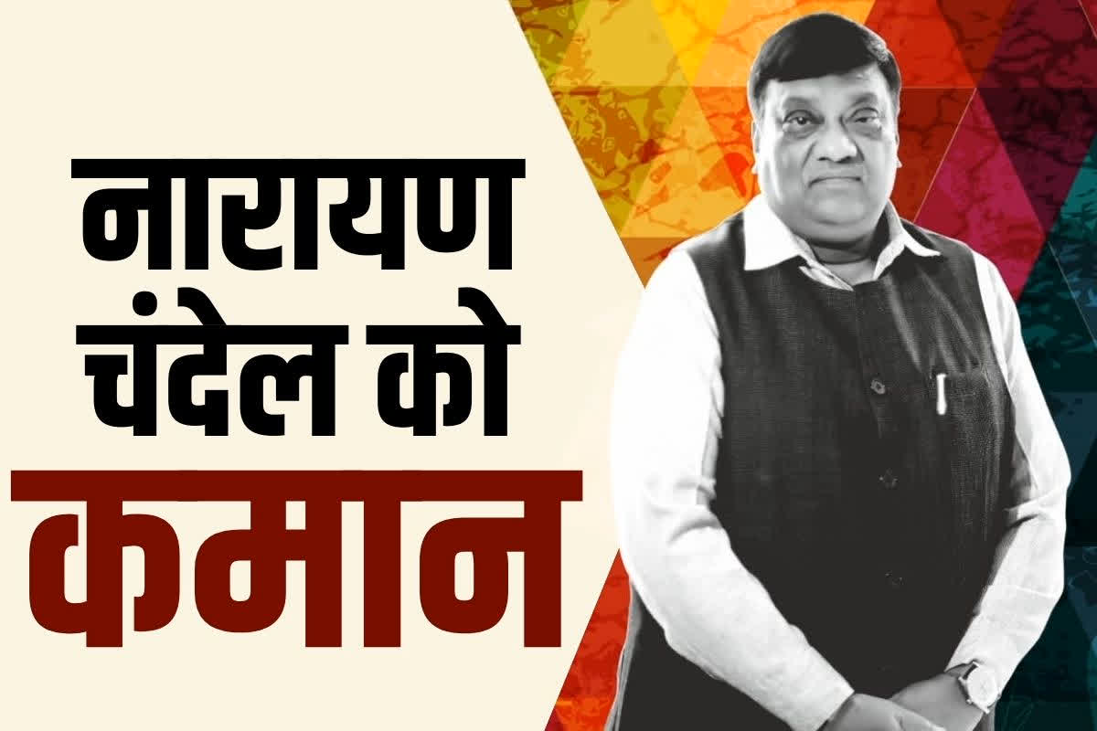 CG Narayan Chandel News: क्या नारायण चंदेल होंगे BJP के नए प्रदेश अध्यक्ष?.. पार्टी ने सौंपी बड़ी जवाबदारी, बनाये गये संयोजक..