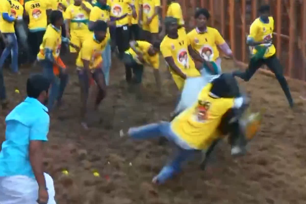 Jallikattu Competition 2025: 11 सौ सांड.. काबू पाने मैदान पर उतरे 900 प्रतिभागी, जानलेवा खेल ‘जल्लीकट्टू’ की शुरुआत, जीतने वाले को मिलेगा इतना ईनाम