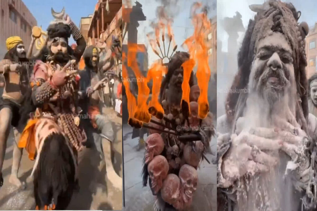 Aghori Tandav in Mahakumbh / महाकुंभ शुरू होने से पहले अघोरियों ने किया तांडव, देखिए वीडियो / Image Source: Screengrab