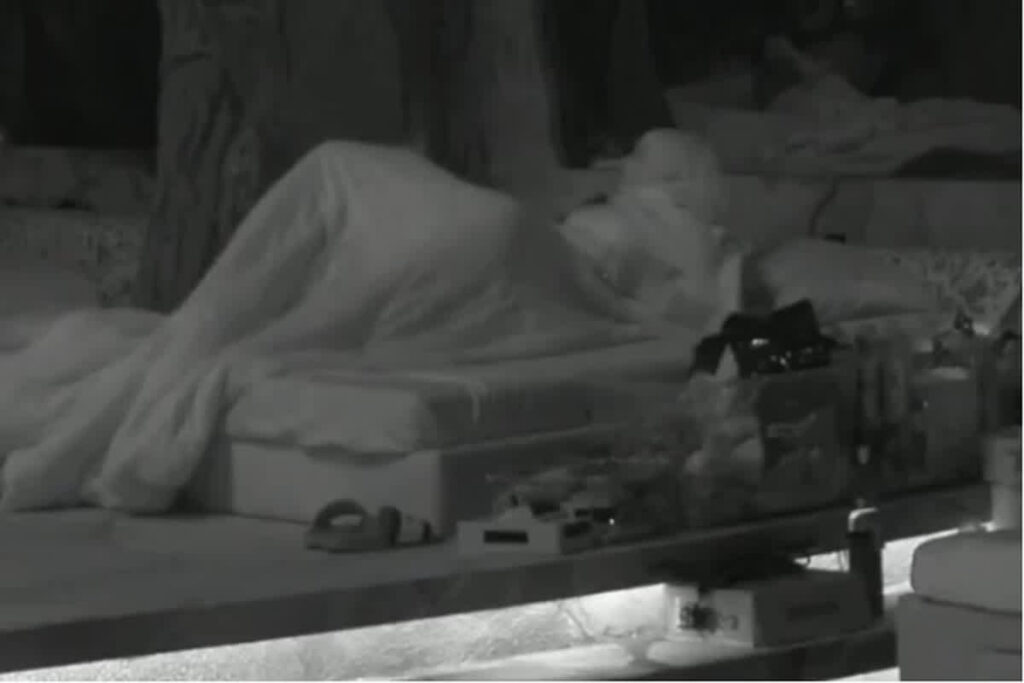 Vivian Dsena-Nouran Aly Romantic Clip Viral। Photo Credit: @imviveksangwan