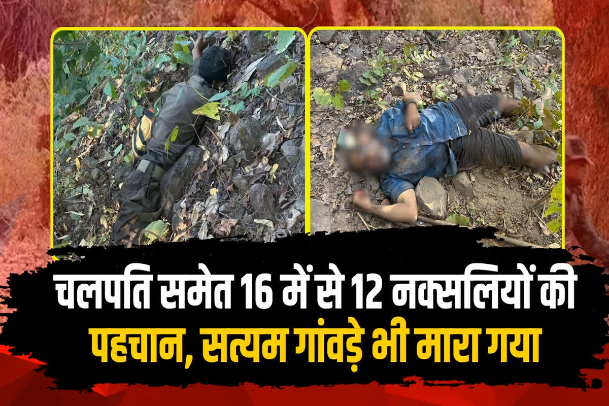 CG Naxalites Encounter: गरियाबंद में मारे गये 12 नक्सलियों की पहचान.. इन्हीं पर ही 3 करोड़ 13 लाख रुपए इनाम था घोषित, 4 की शिनाख्त बाकी..